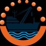 BG shipping Profile Picture